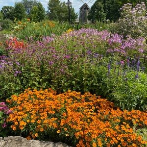 Meet your Posher, Stacy